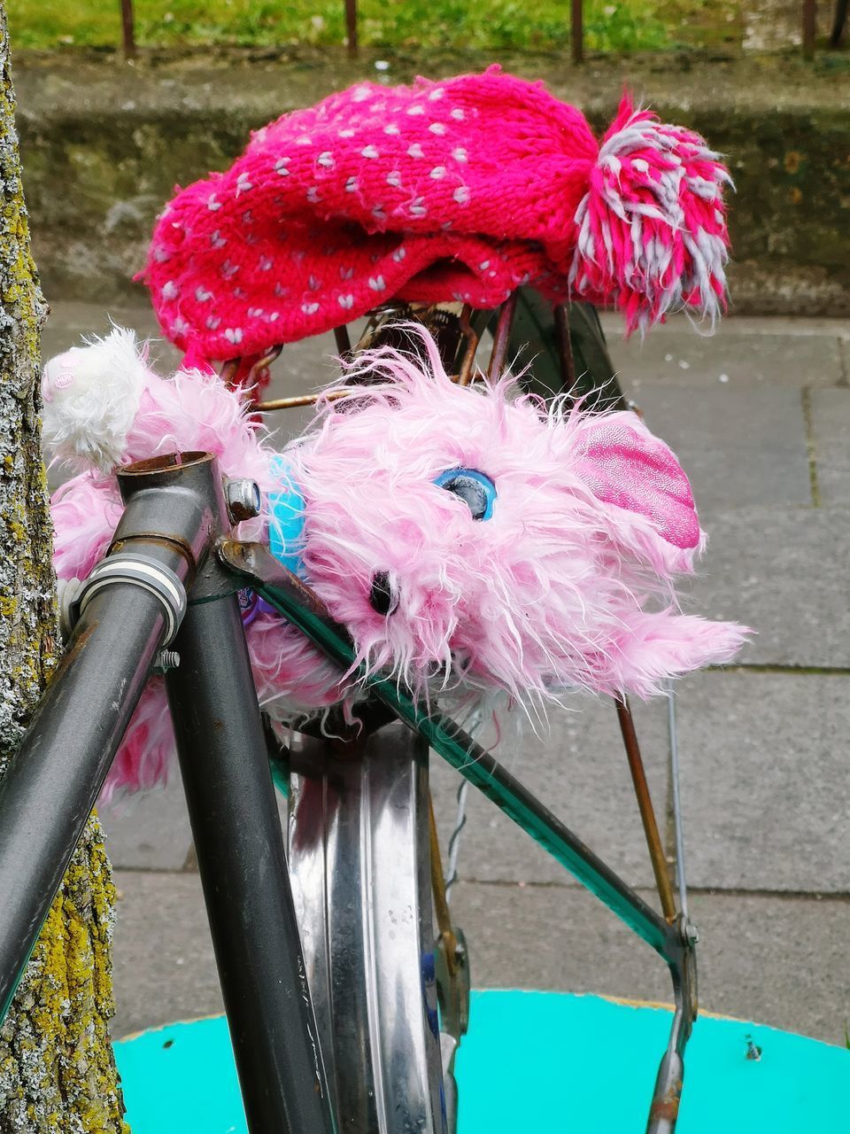CLOSE-UP OF PINK FLOWER WITH BICYCLE ON METAL