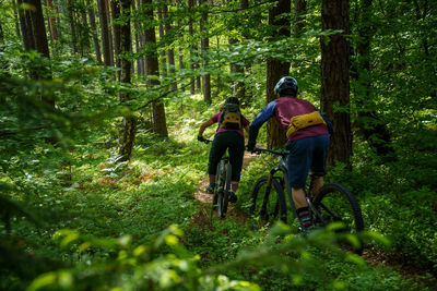 A young woman and a young man riding their mountain bikes on a singletrail near klagenfurt, austria.