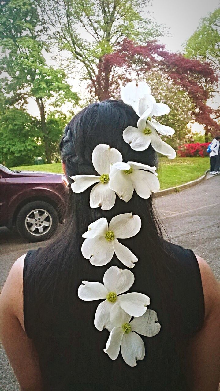 flower, tree, white color, petal, lifestyles, fragility, leisure activity, growth, freshness, park - man made space, plant, person, flower head, holding, day, sunlight