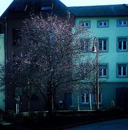 Buildings in city