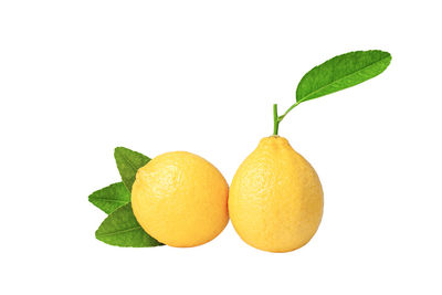 Close-up of fruits against white background