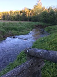 Scenic view of river by trees against sky