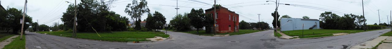 View of road along trees