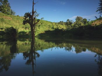 Reflection of trees in lake against sky