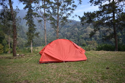 Tent on land against trees in forest