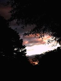 Low angle view of silhouette trees against sky at sunset