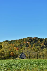 Scenic view of field against clear blue sky