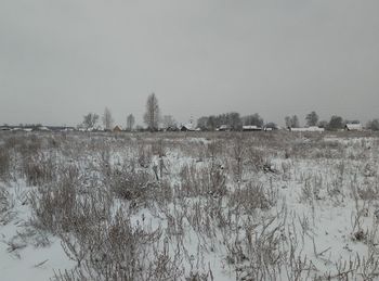 Scenic view of field against clear sky during winter