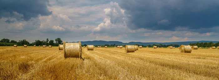 Panoramic view of agricultural field against sky