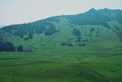 Scenic view of field against clear sky