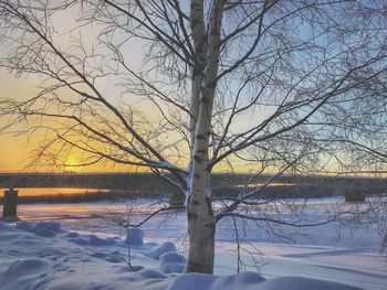 Bare tree by frozen lake against sky during winter