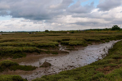 Scenic view of field against sky