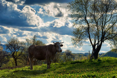 Rural photography