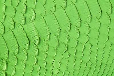 Full frame shot of leaf