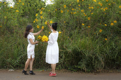 Full length of a girl standing against yellow flowers