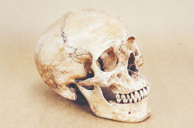 Close-up of human skull on table