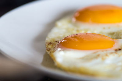 Close-up of fried eggs in plate
