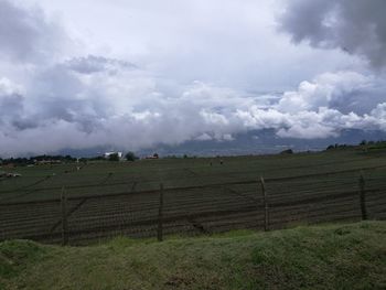 Scenic view of field against sky