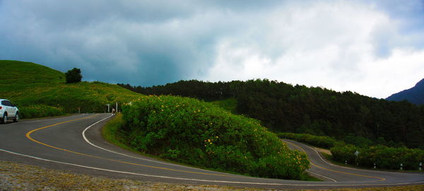 Road amidst trees against sky