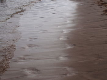 Scenic view of beach