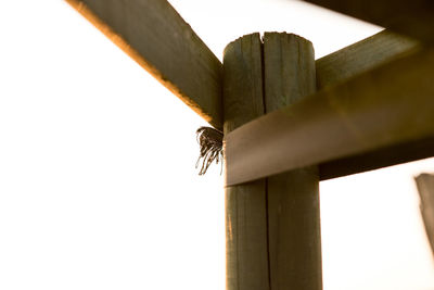 Low angle view of fabric tied to wooden post against clear sky