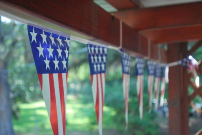 Close-up of flags against blue wall