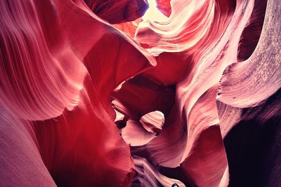 Full frame shot of red flower