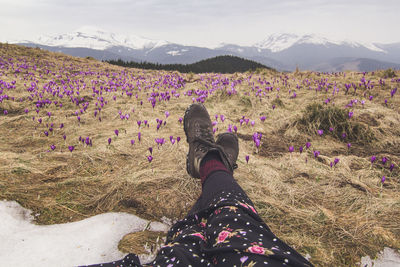 Close up female crossed legs on crocus flowers hill concept photo