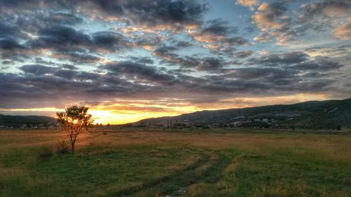 Scenic view of field against sky during sunset