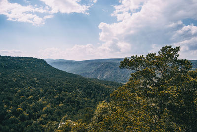 Landscape of the prades mountains, in tarragona, spain. a sunny summer day with green trees