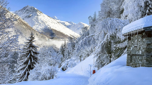 snow