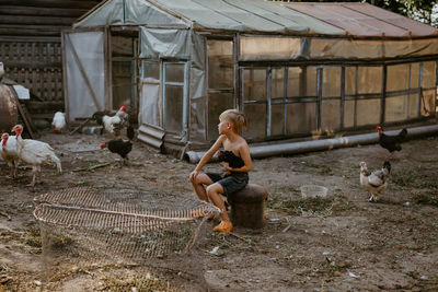 Full length of boy holding hen sitting at poultry