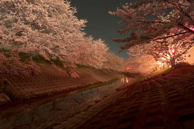 Scenic view of road against sky at night