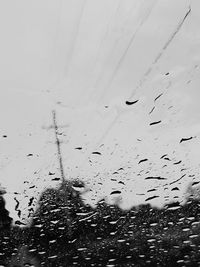 Close-up of wet birds against sky during winter