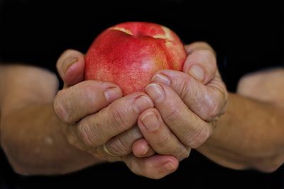 Close-up of hand holding apple