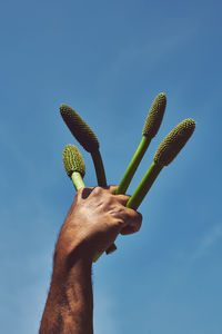 Person holding apple against blue sky