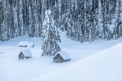 Scenic view of snow covered land