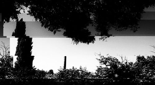 Low angle view of silhouette trees against clear sky