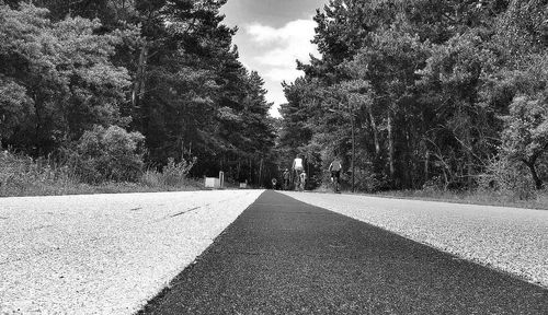 Road passing through trees