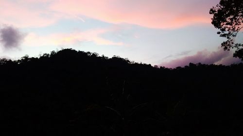 Silhouette trees against sky during sunset