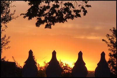 Silhouette of trees during sunset