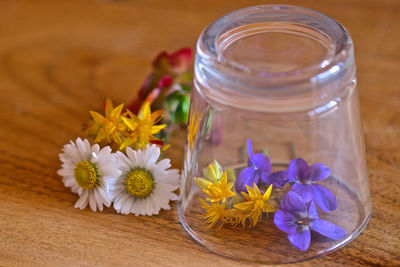 Close-up of flowers in glass jar on table