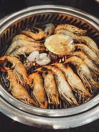 High angle view of fish in container