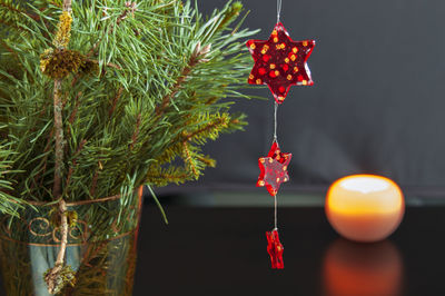 Close-up of christmas decorations hanging on tree