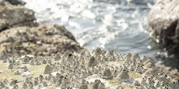 Close-up of rocks on beach