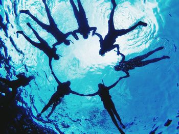 Close-up of silhouette jellyfish swimming in sea