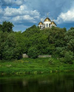 Plants by lake and building against sky