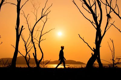 Silhouette people standing by bare tree against sky during sunset