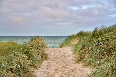 Scenic view of beach against sky