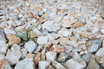 Full frame shot of pebbles